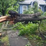 homeowners insurance claims Illinois