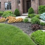 Landscaping Companies Cedar Lake